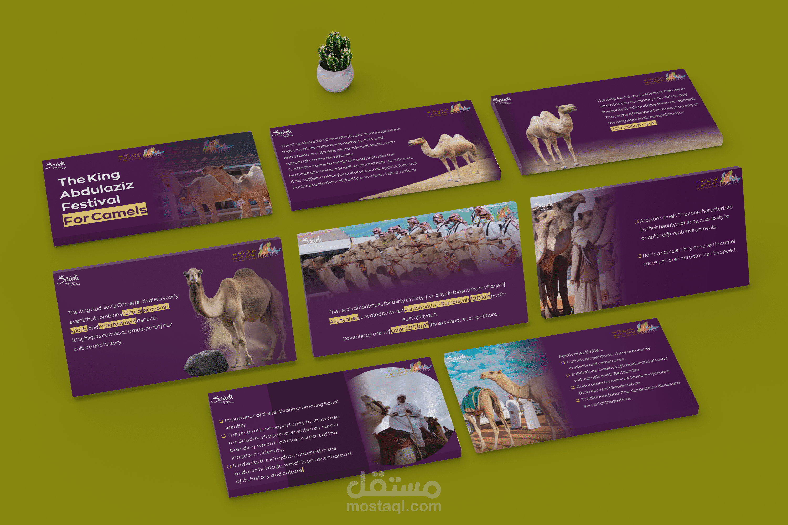 عرض تـــقـــديــمـــي عــــن مهـرجــــان الملـــك عبــد العزيــــز لابــل