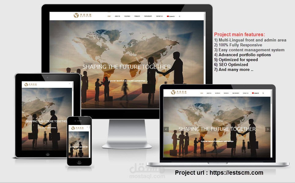 تطوير وبرمجة موقع الشركة الصينية ESTSCM
