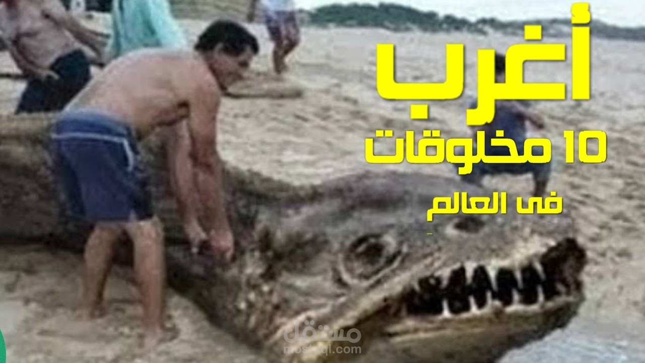 اغرب 10 مخلوقات في العالم لا يمكن التعرف عليها