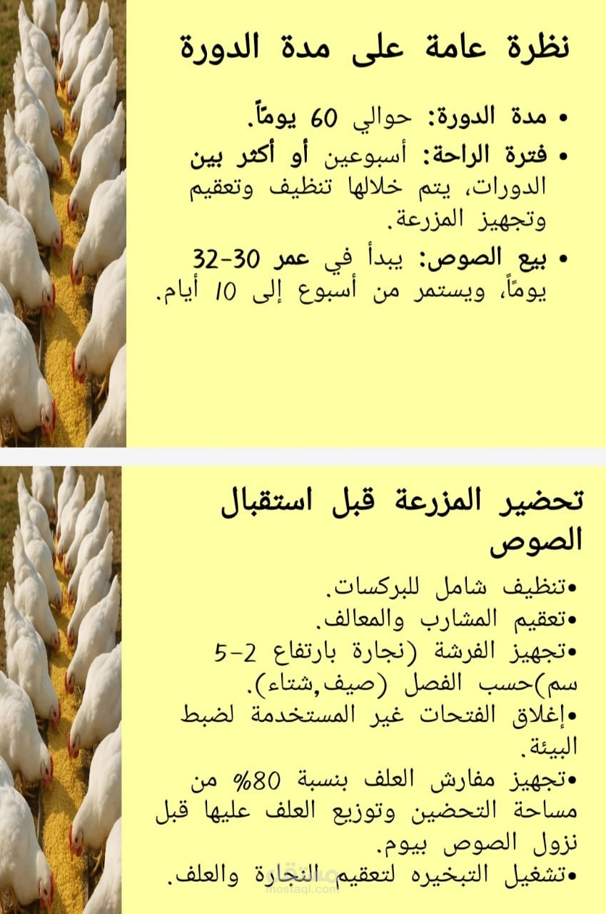 تقرير شهري