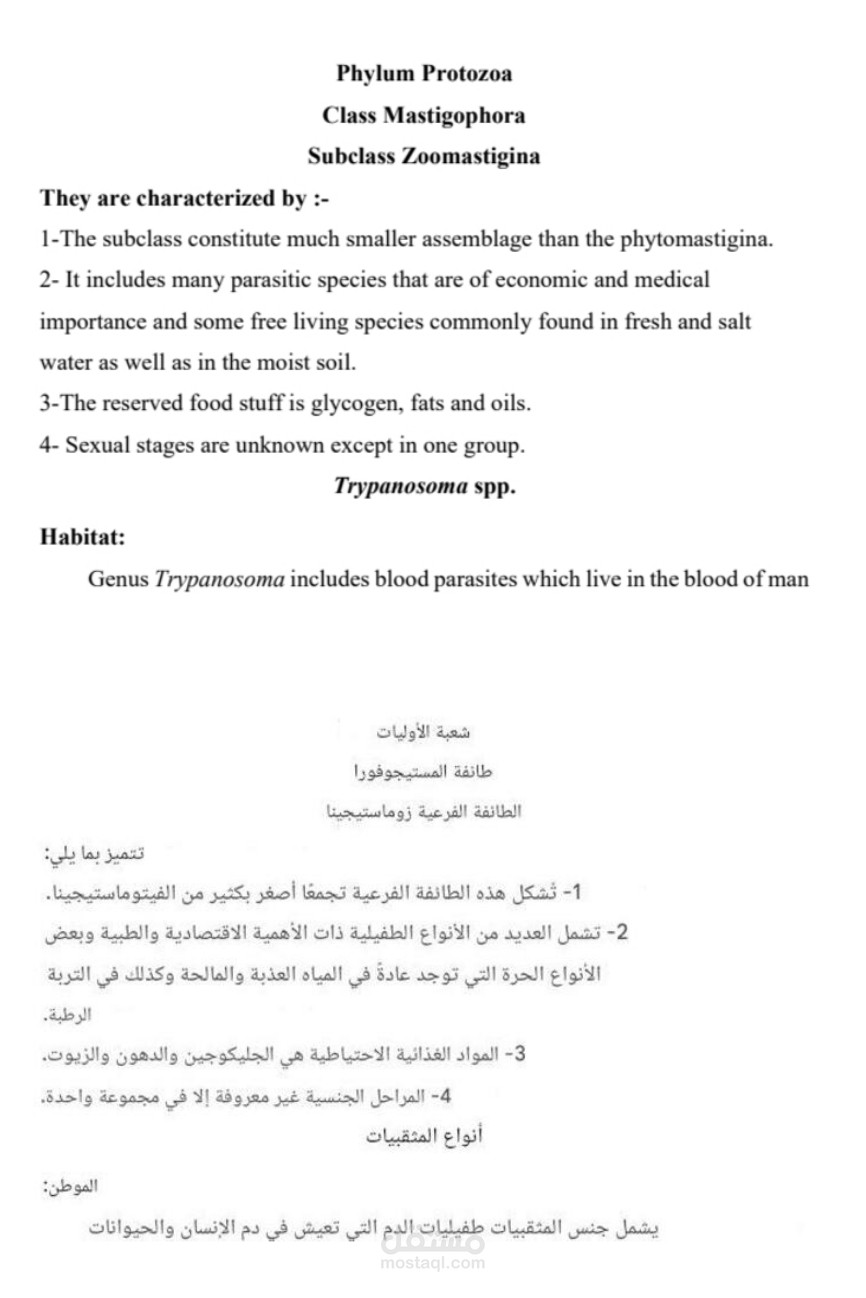 ترجمه من اللغة العربية لي الانجليزيه