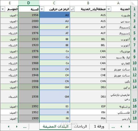 تنسيق وتنظيم بيانات على برنامج Excel