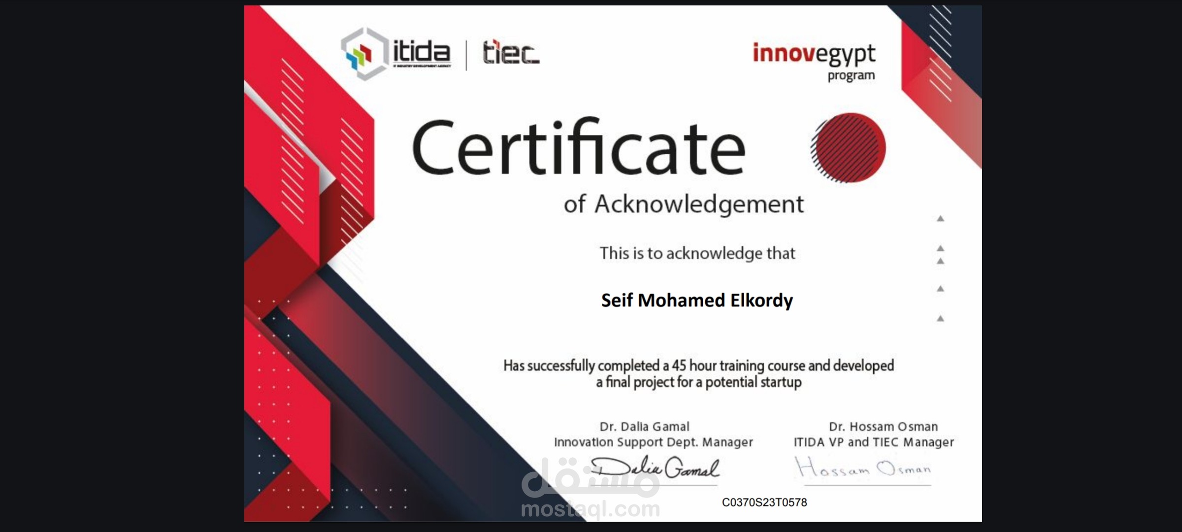 خبير ابتكار وتطوير مشاريع ناشئة - برنامج InnovEgypt المعتمد.