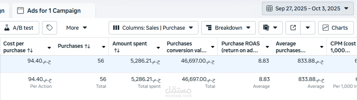 Facebook Campaign