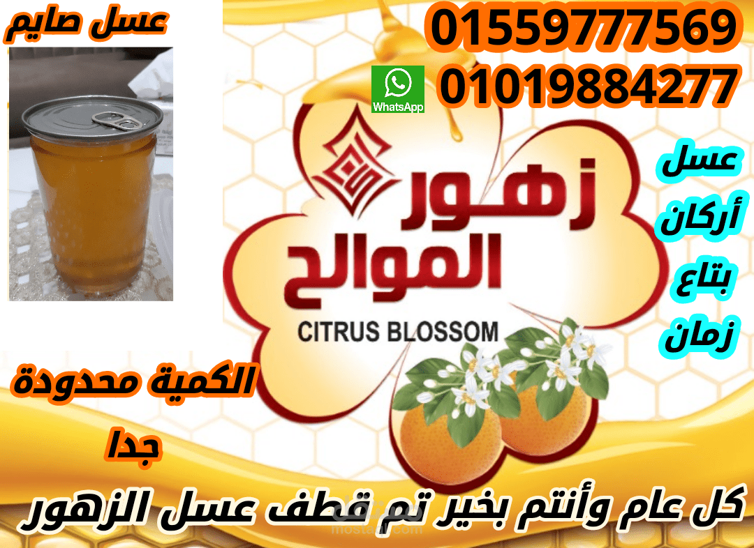 تصميمات رائعة