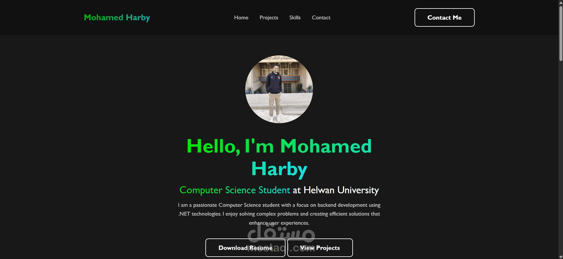 عمل Portfolio من صفحة واحدة