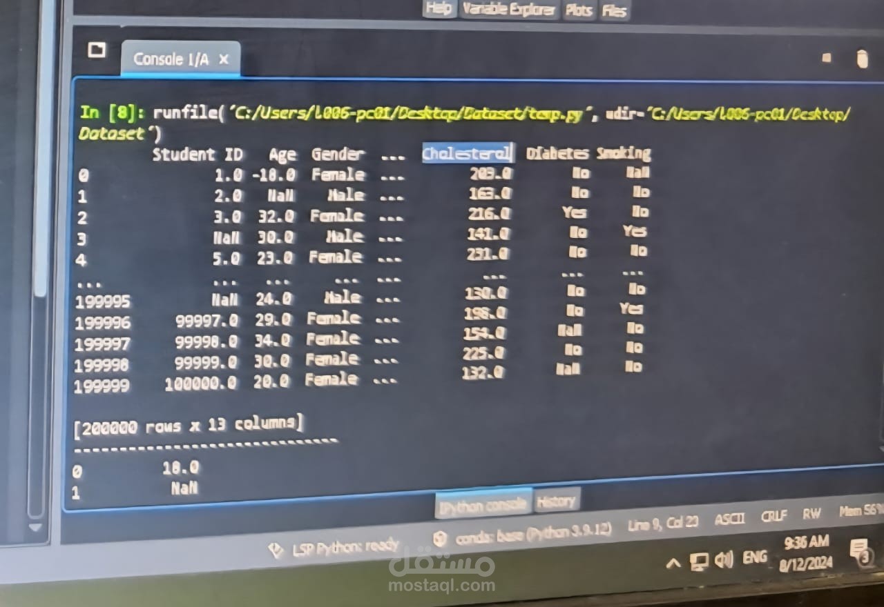 Excel Data Management and Organization System using Python