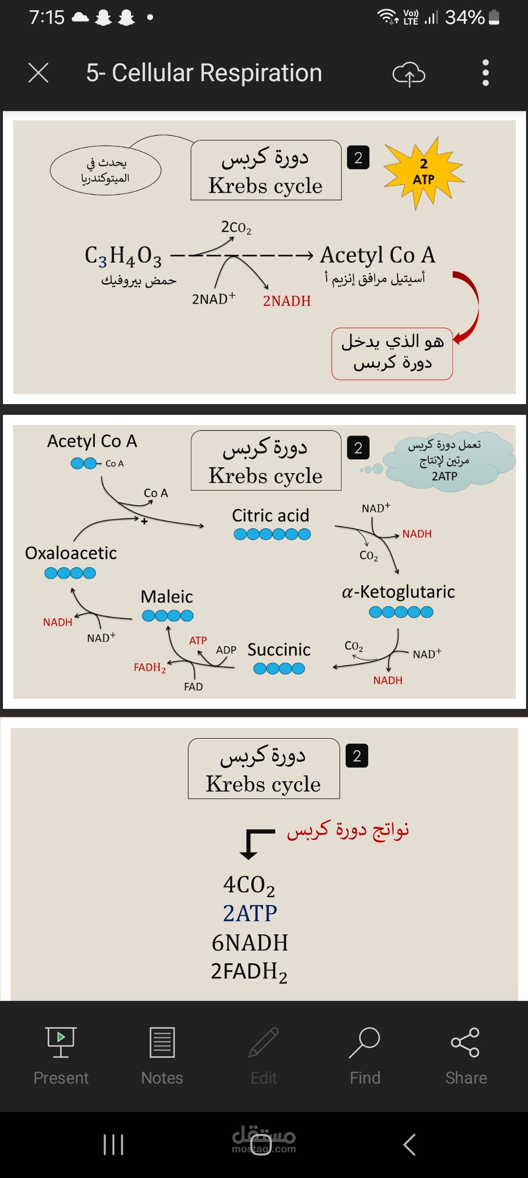 عرض تقديمي عن التنفس الخلوي ودورة كربس