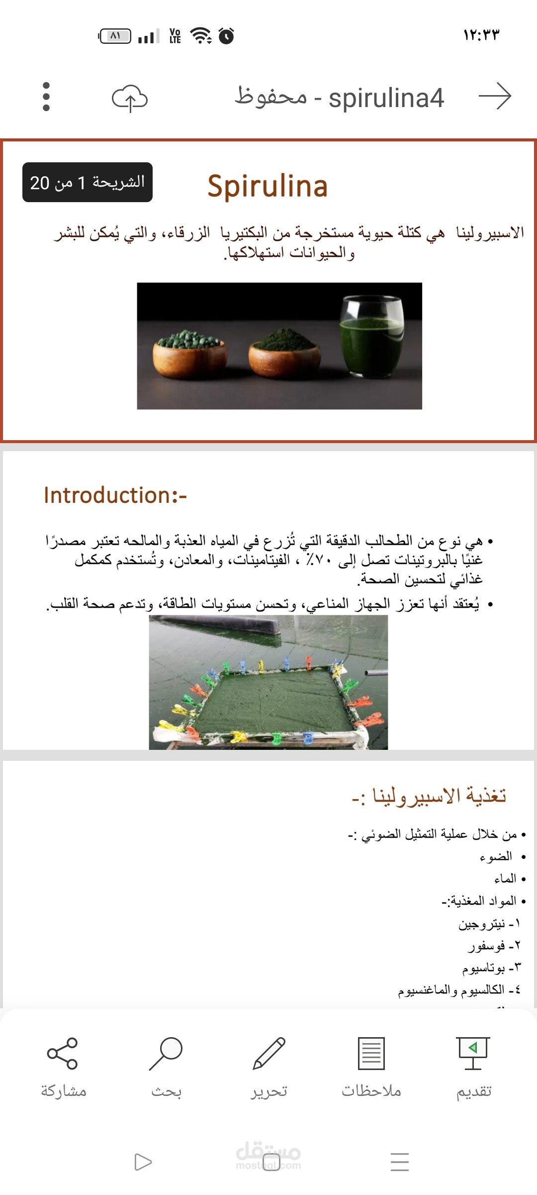 طحلب الاسبيرولينا