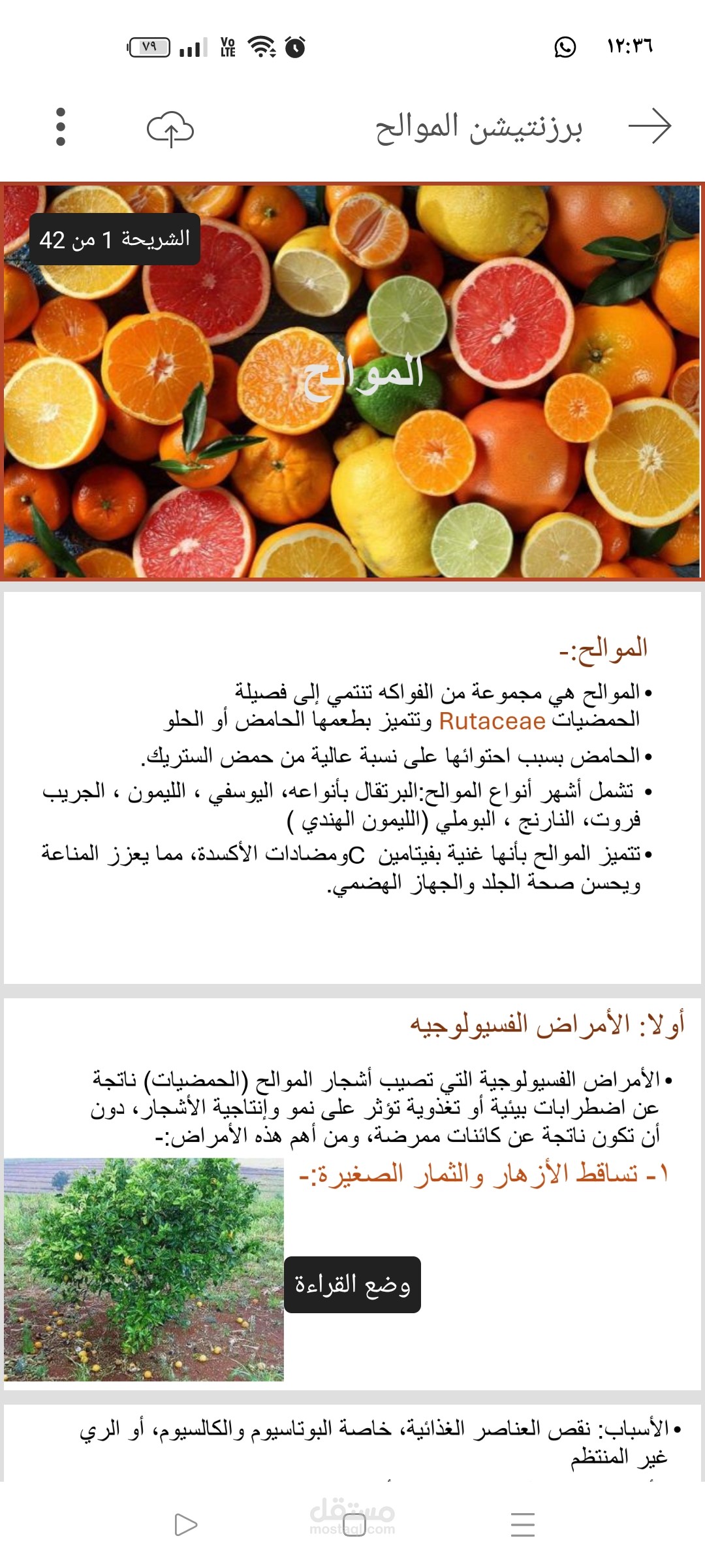 الموالح