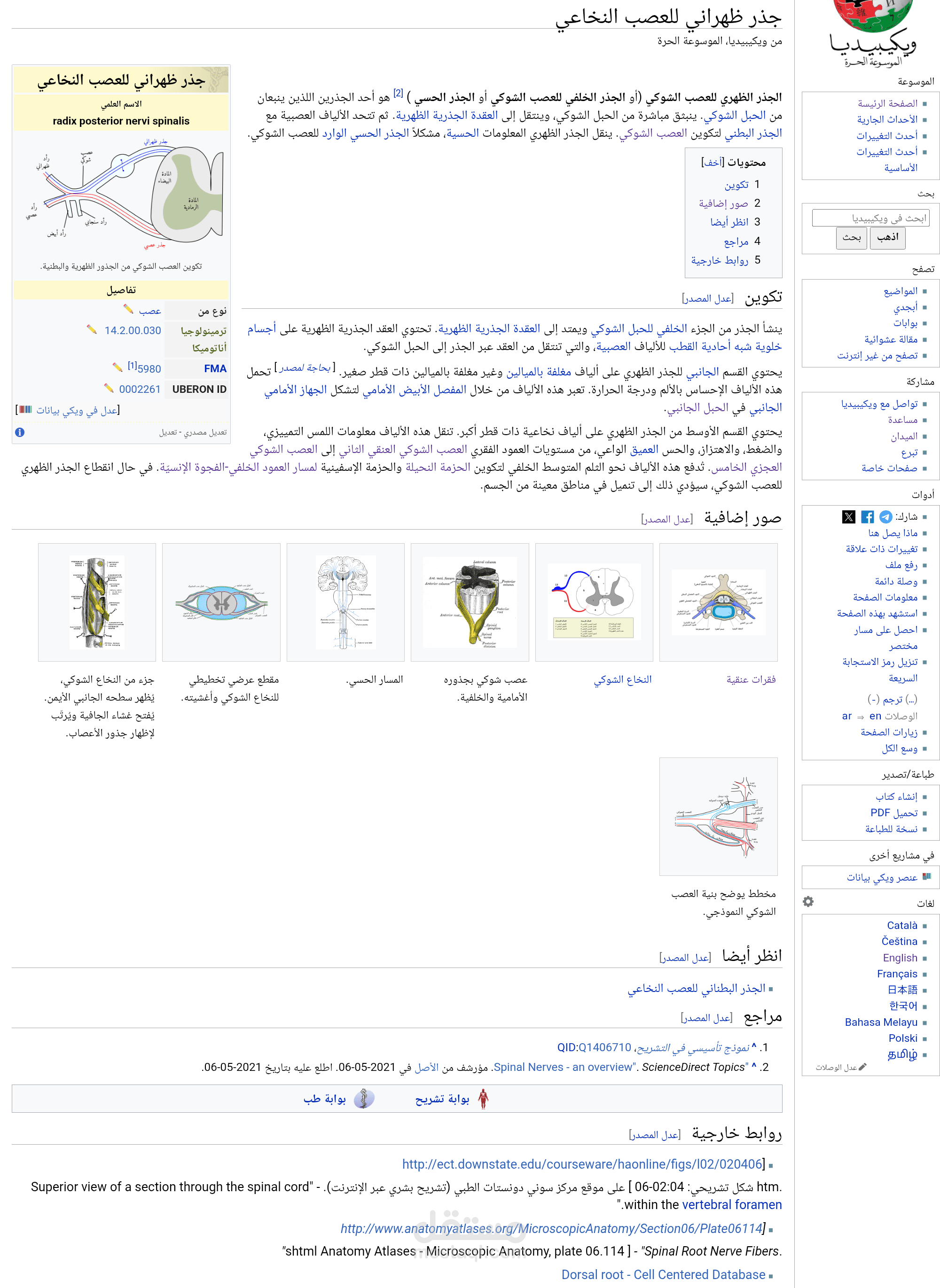 ترجمة مقالة علي ويكيبيديا العربية