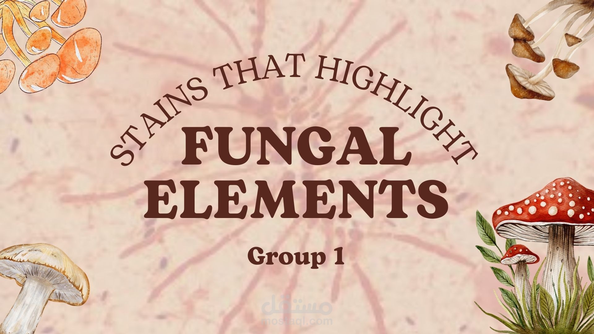 powerpoint for medical student