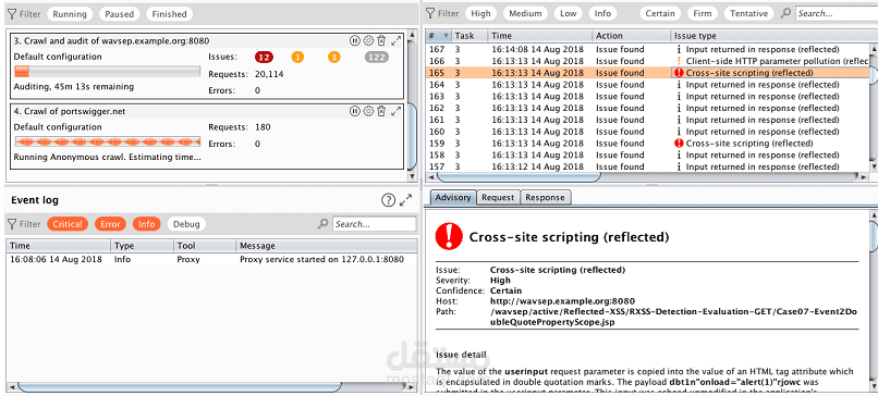 Web Application Penetration Testing (Burp Suite)