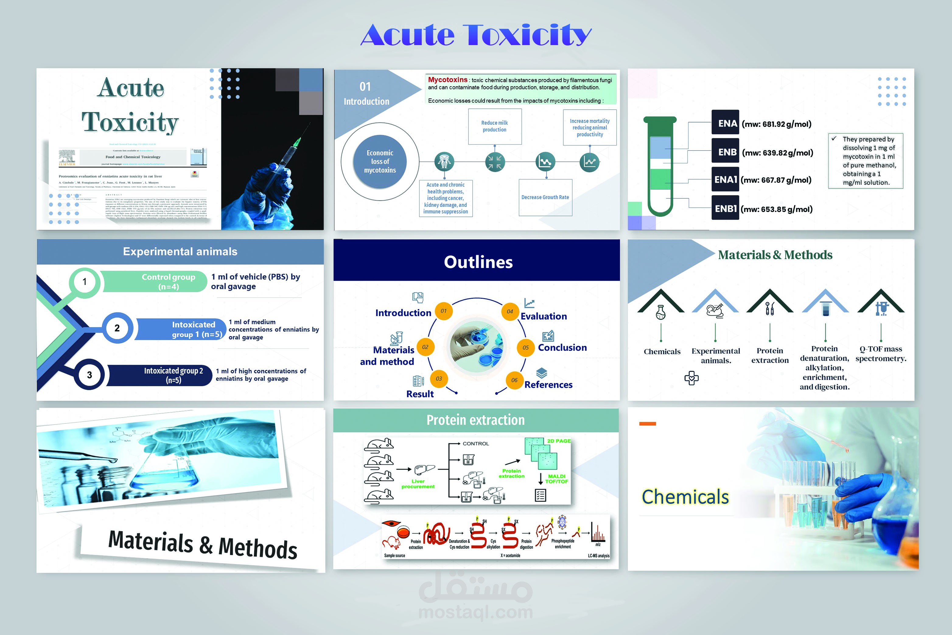 عمل بوربوينت  Acute Toxicity