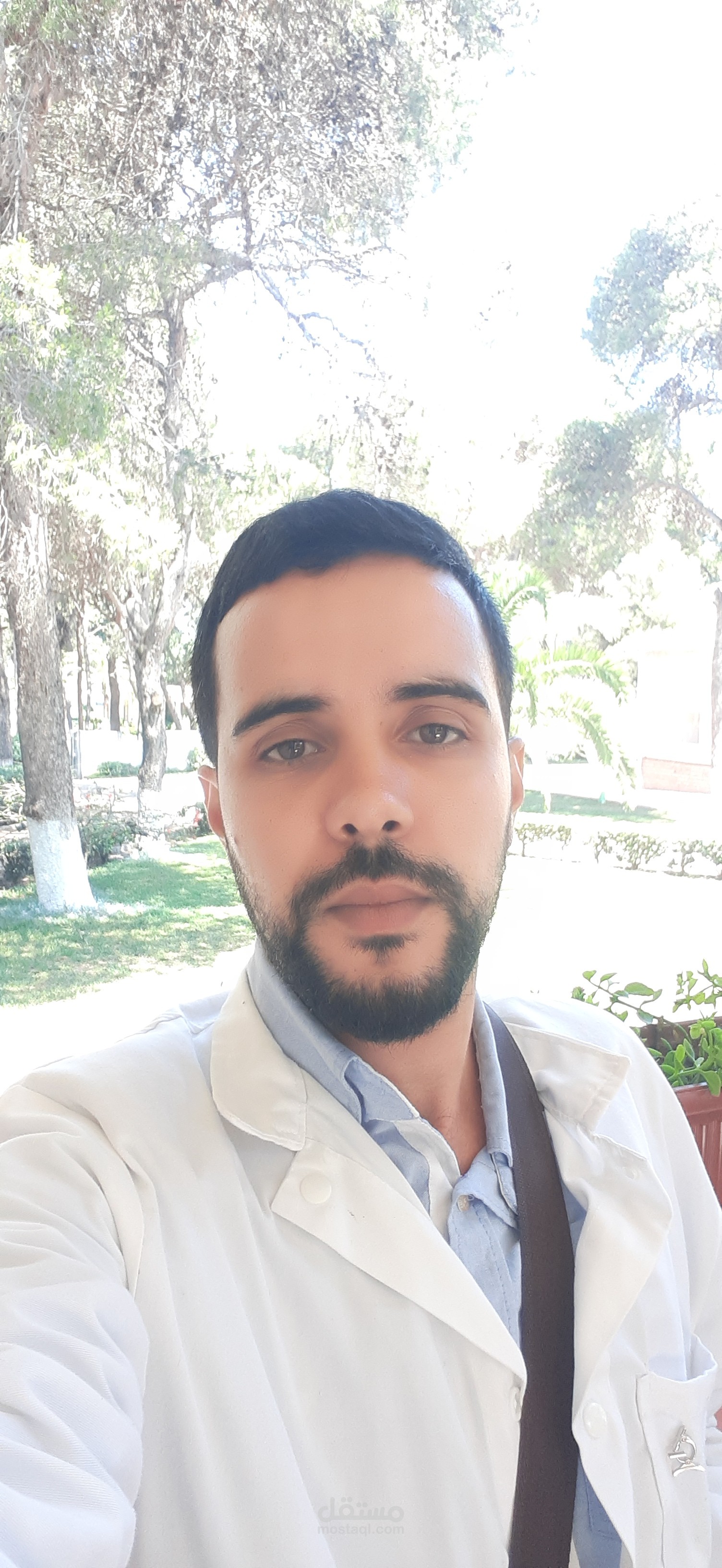 صناعة المحتوى الطبي