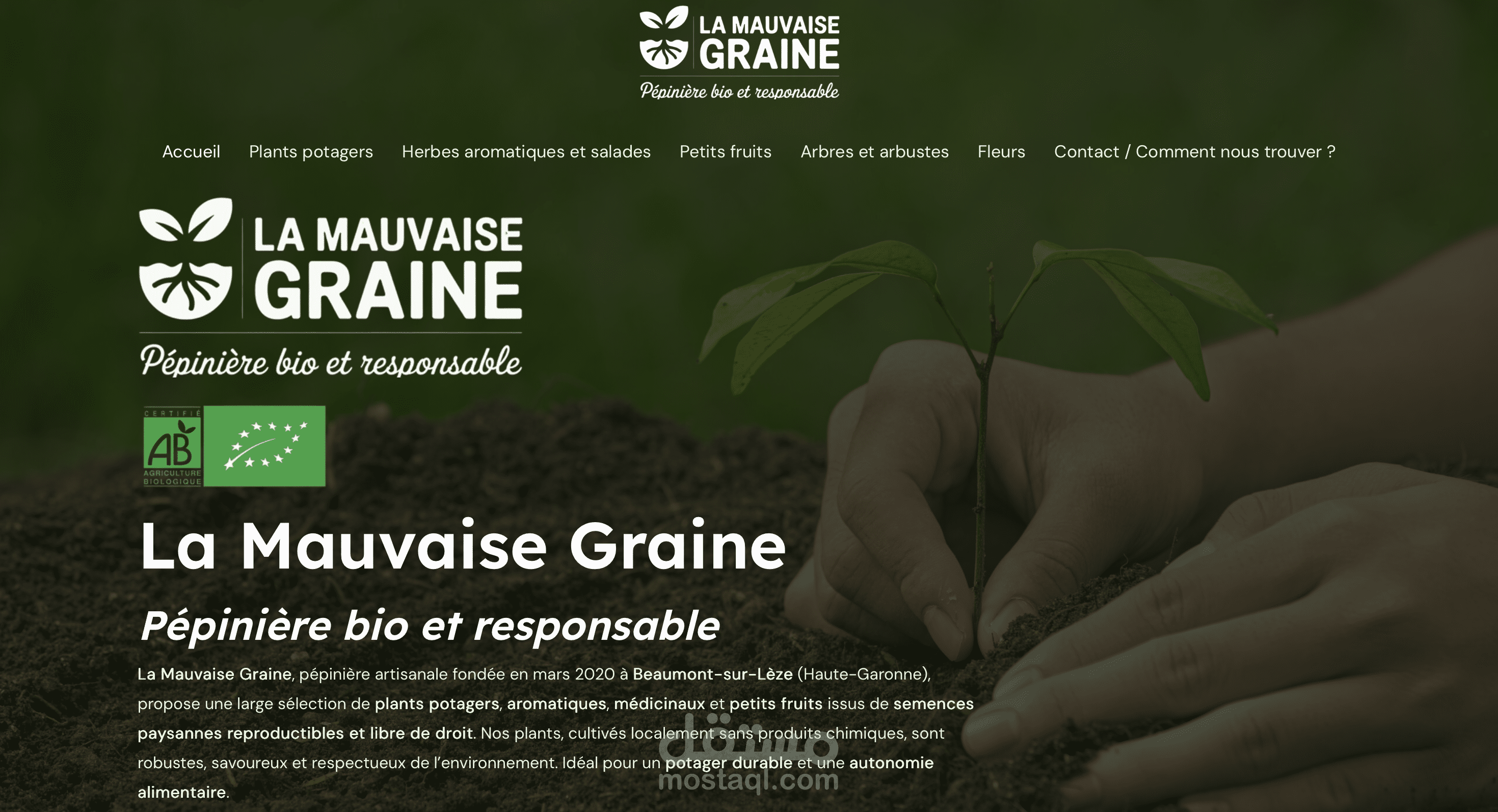 la mauvaise graine
