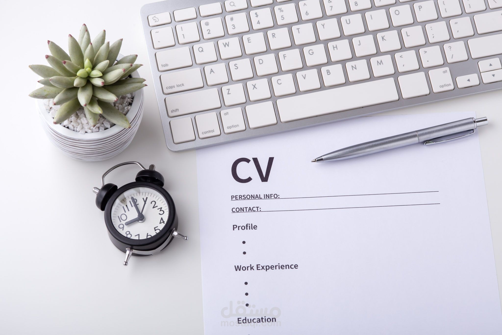 عمل CV بتريقه احترافيه