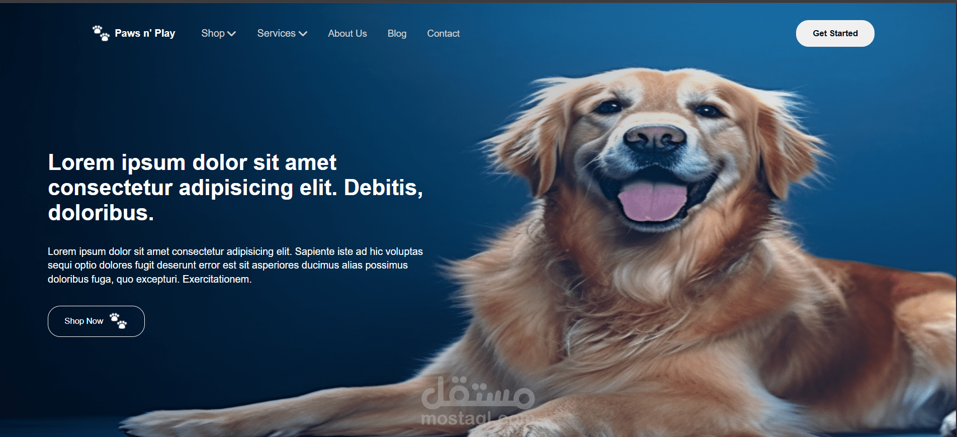 Paws ‘n play website