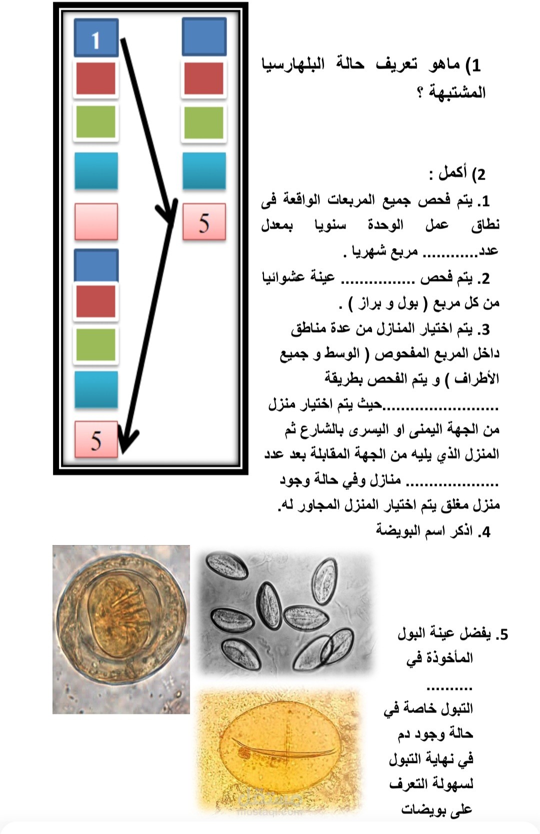 تحويل البيانات الفنية إلى أدلة عمل ودلائل تدريبية احترافية