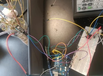 IoT Smart Irrigation System with AI Integration