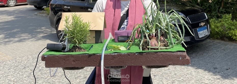 Automated irrigation system