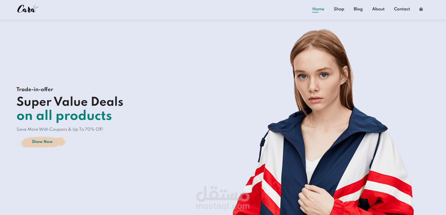 Ecommerce Website