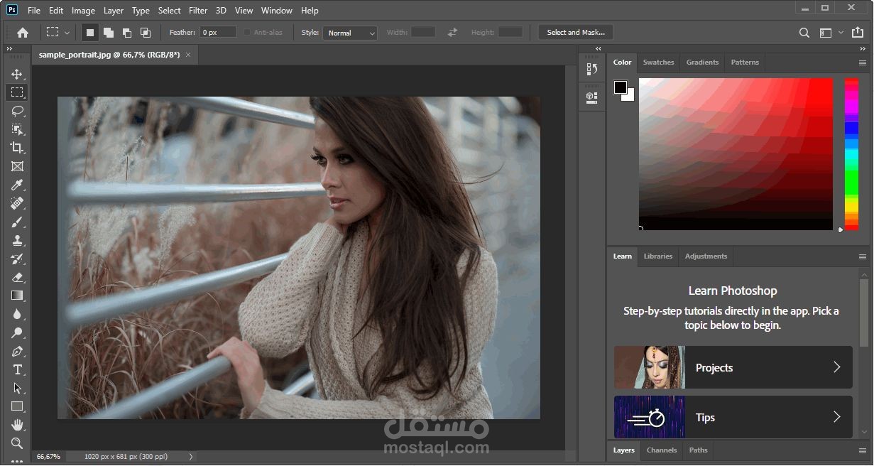 Photoshop-Application
