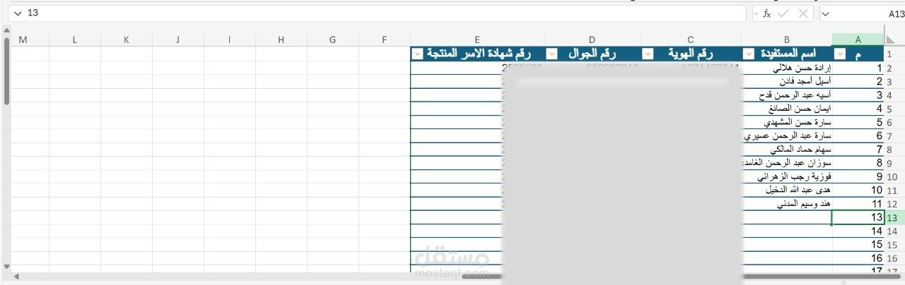 ادخال بيانات مستفيدين لمركز تدريب