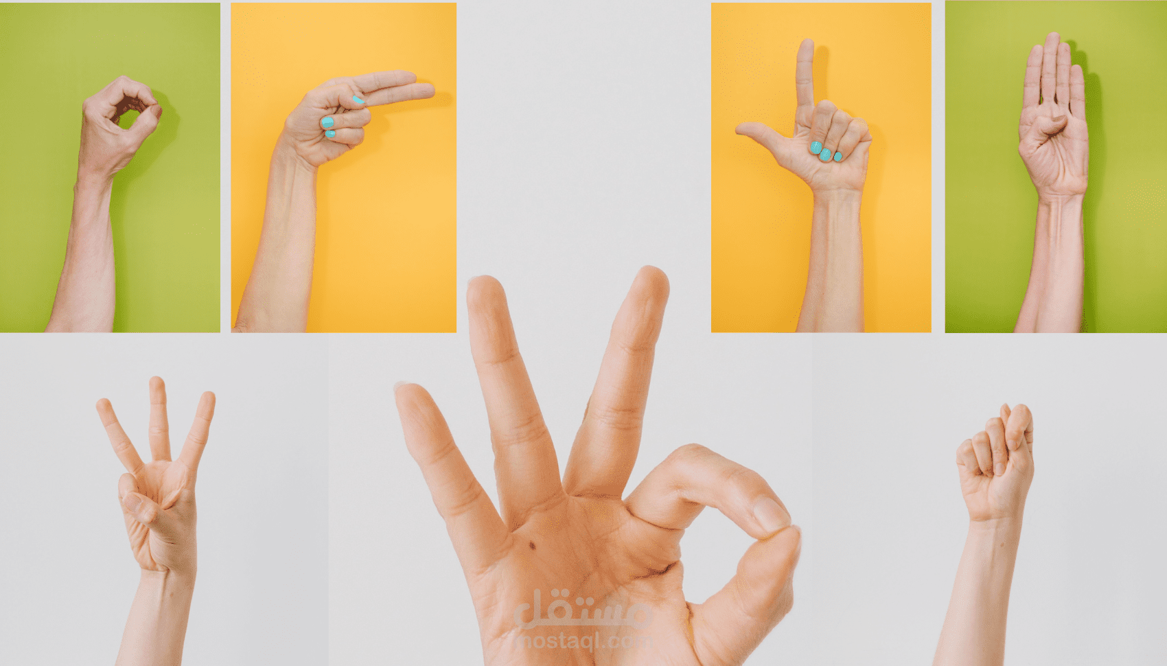 بناء نظام مترجم لغة الإشارة الأمريكية (ASL) بالذكاء الاصطناعي والتعلم العميق