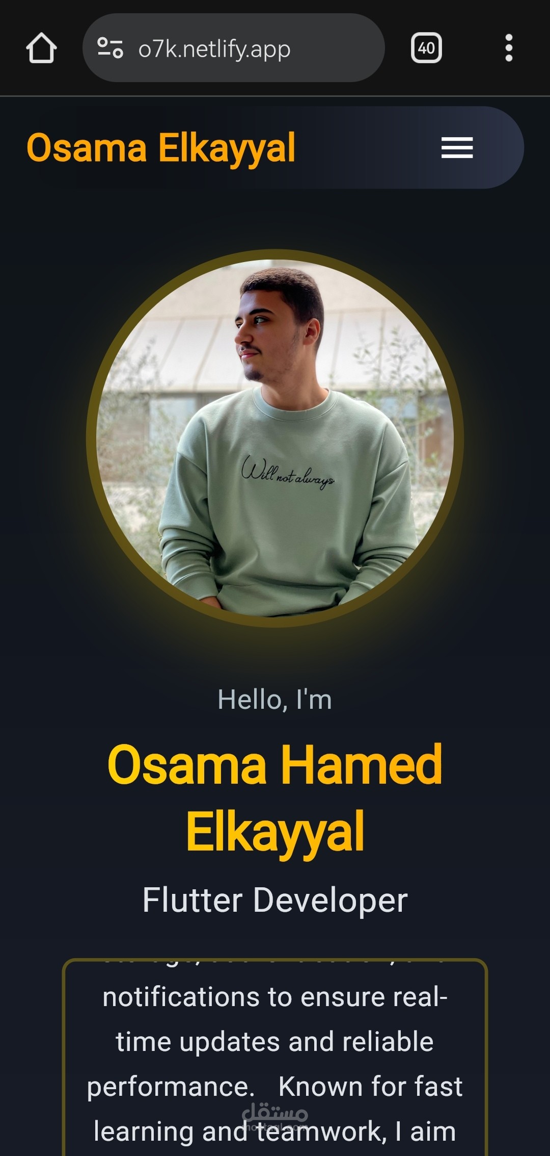 Portfolio using Flutter