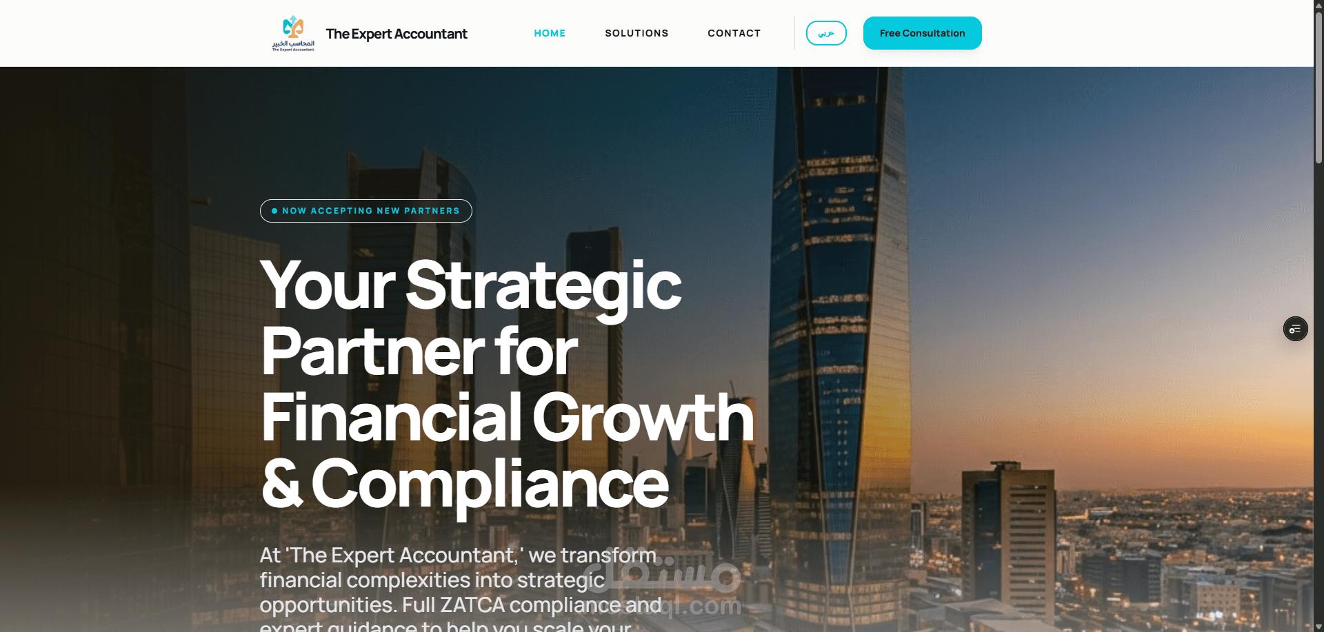 المحاسب الخبير