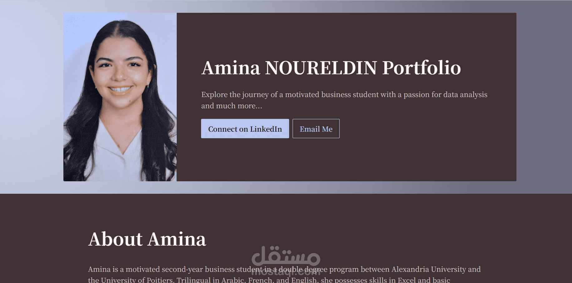 بورتوفوليو portfolio