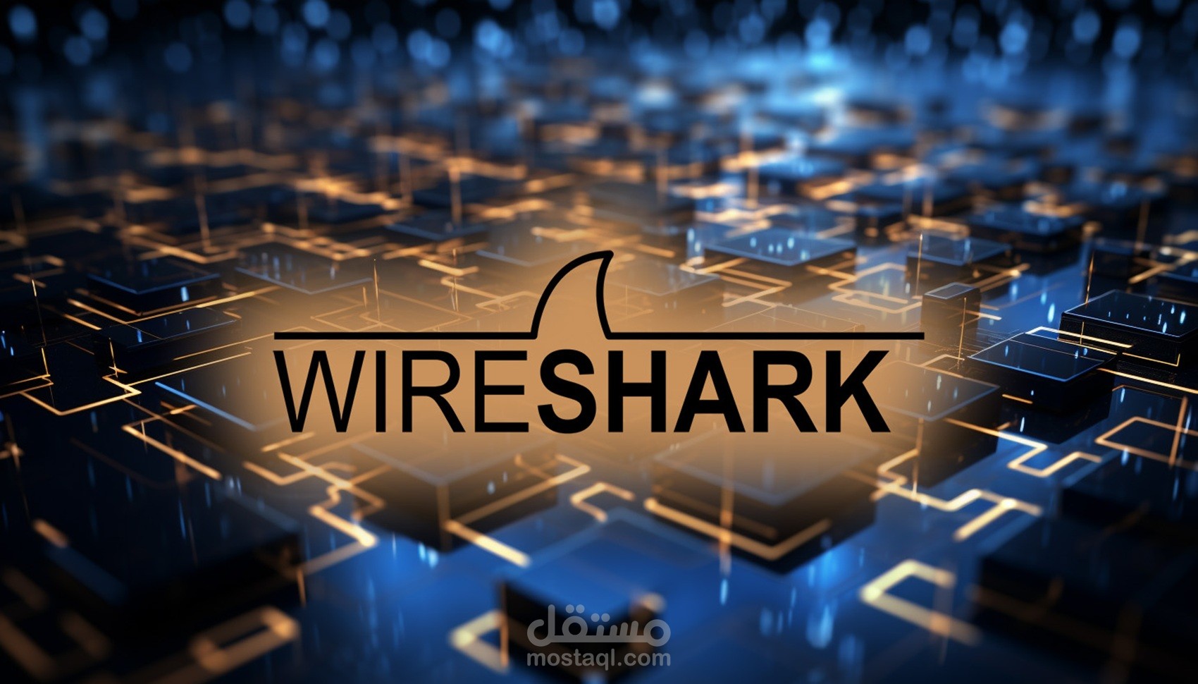 تحليل الشبكات باستخدام Wireshark وتقديم تقارير شاملة