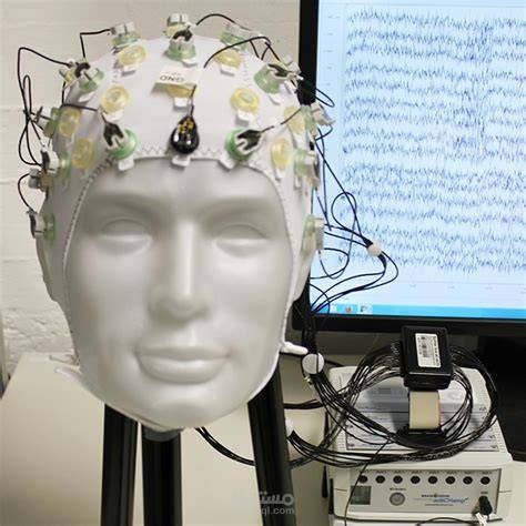 Motor Imagery EEG Signal Classification