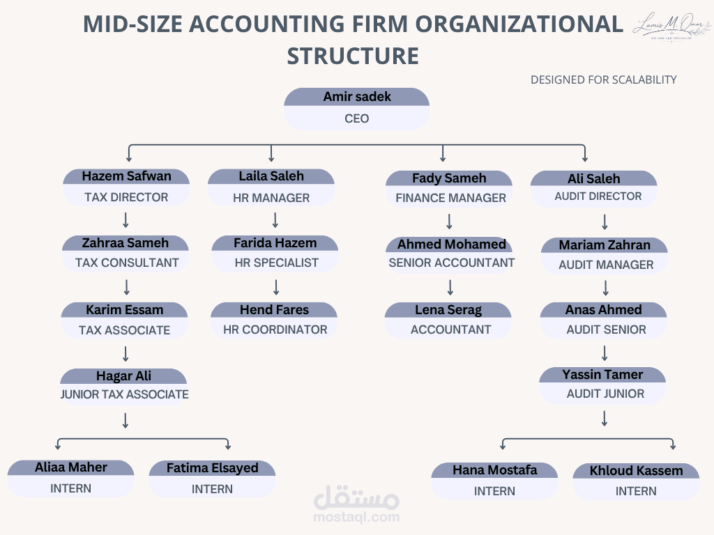 Mid-size Accounting Firm Organizational Structure