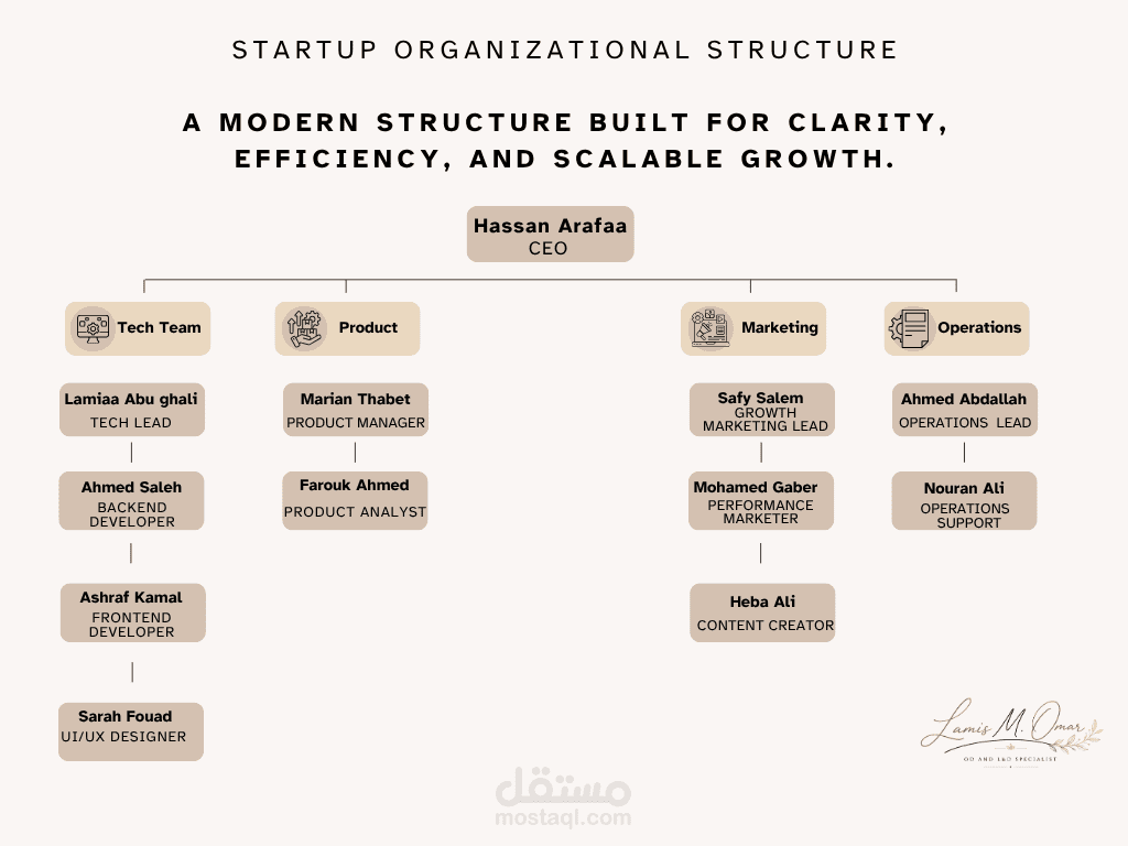 Startup Organizational Structure