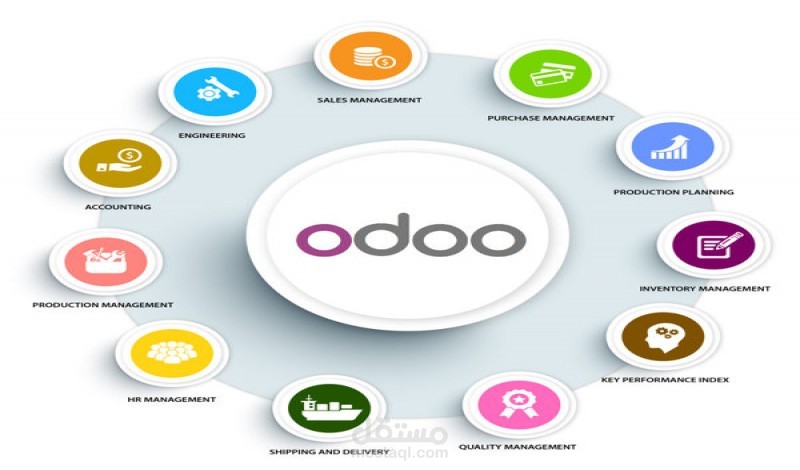 محترف فى العمل على برنامج odoo