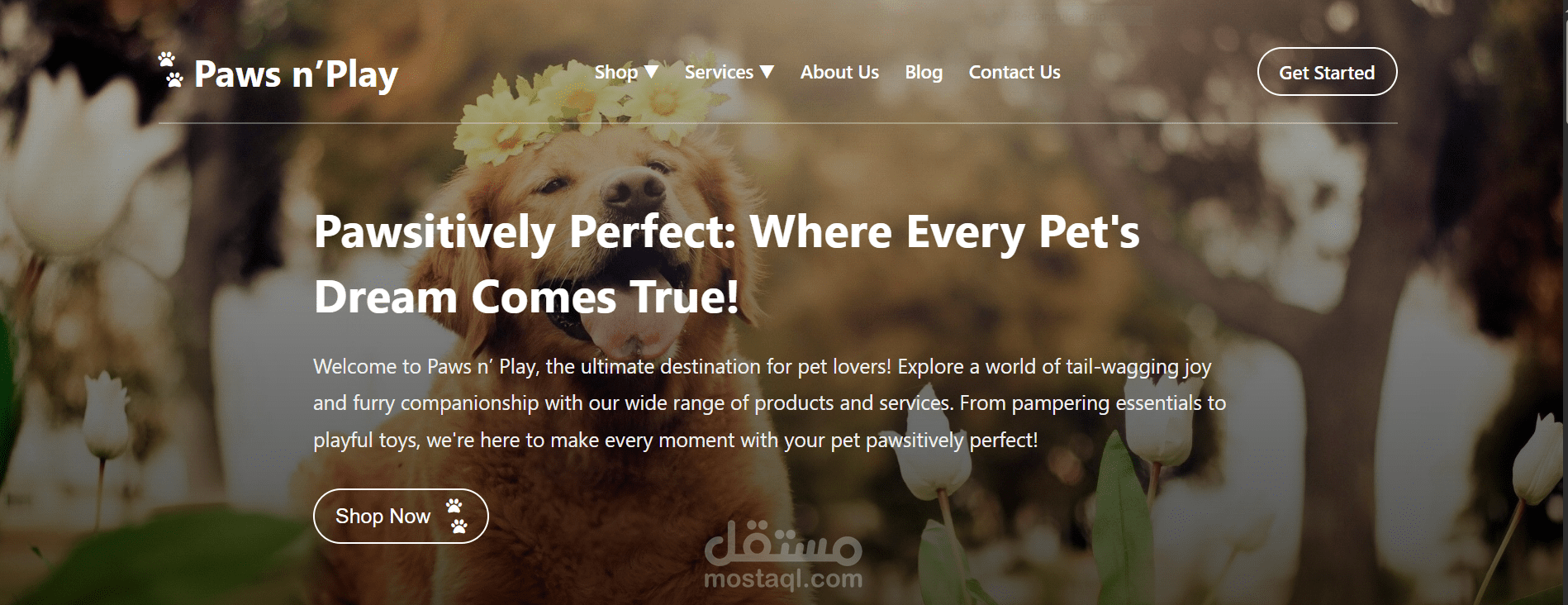 PAW'S website Landing Page