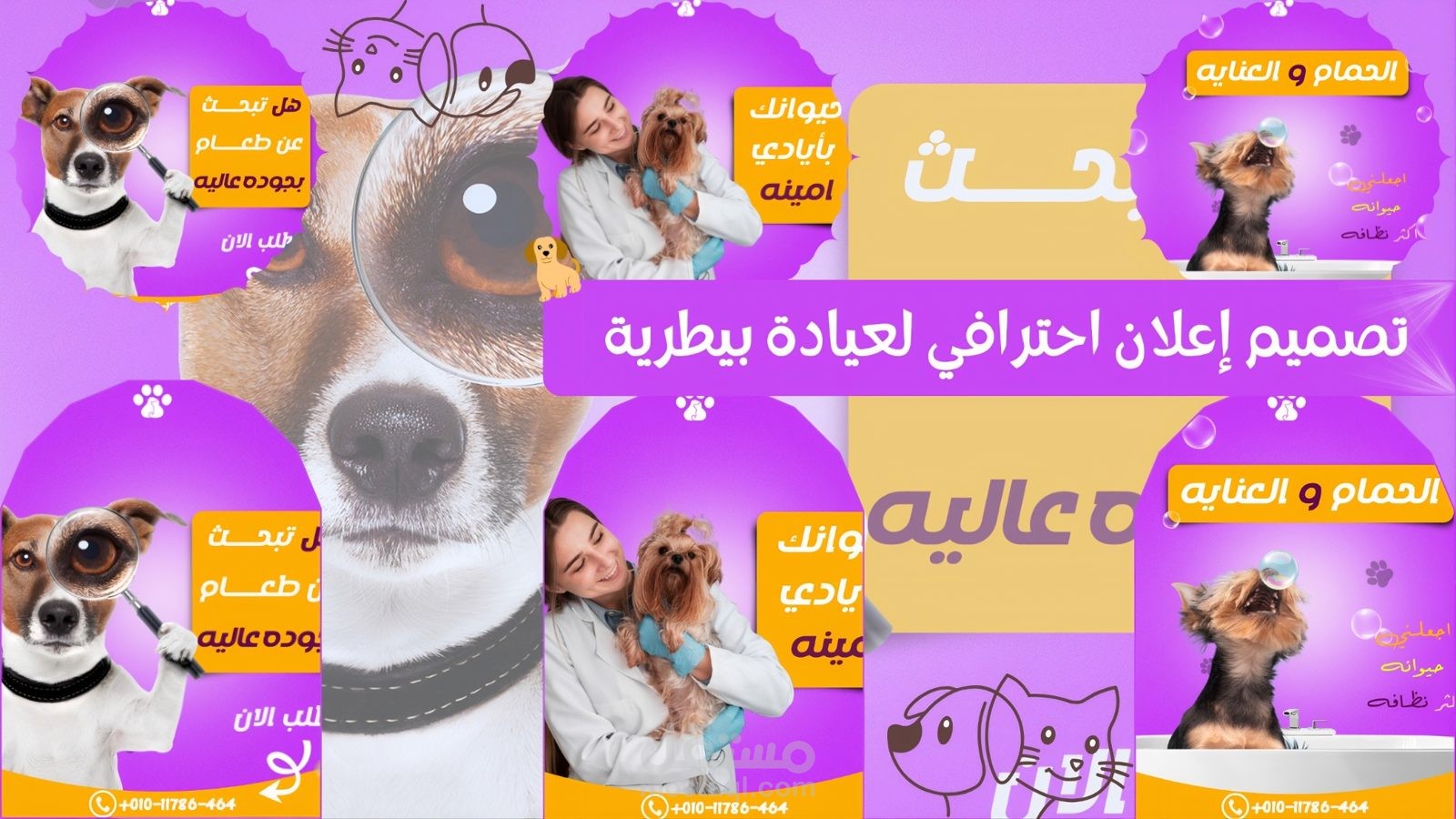 تصميم سوشيال ميديا لعيادة بيطرية بشكل جذاب