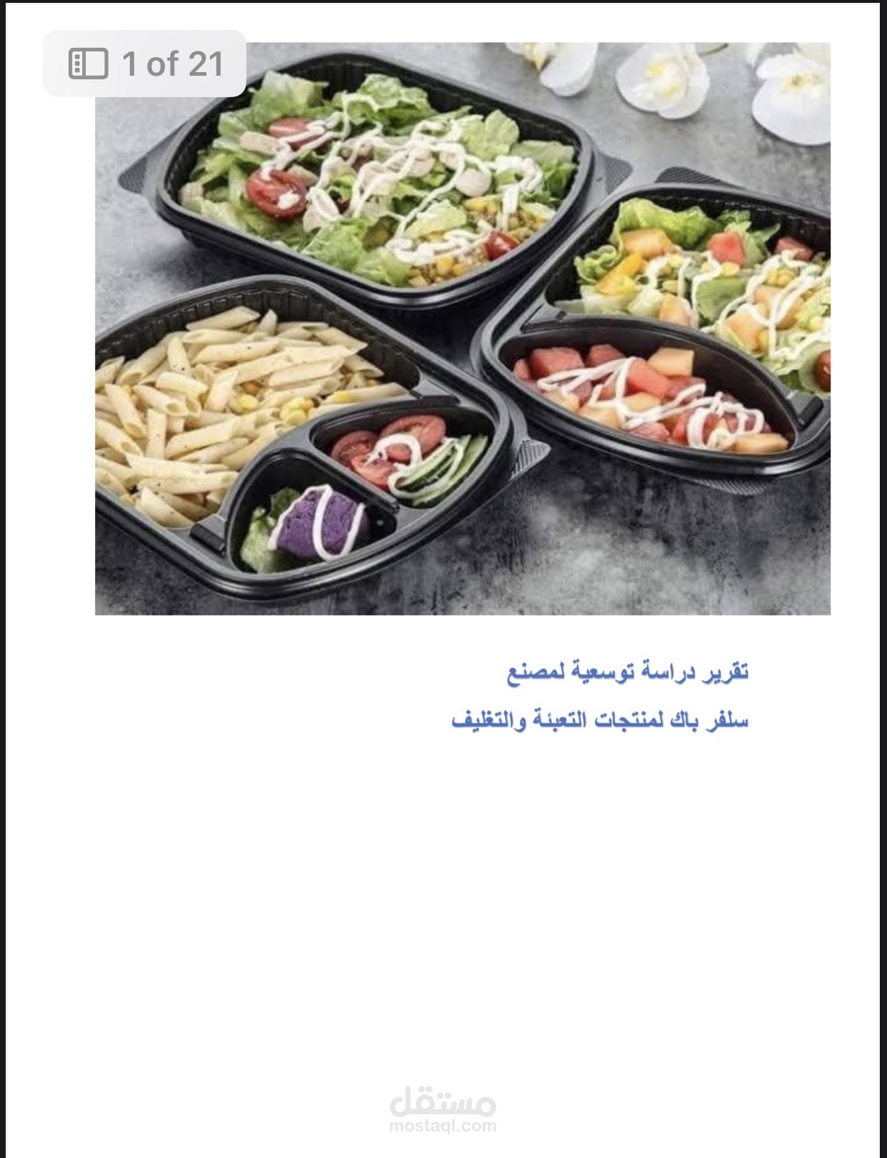 الدراسات التوسعية