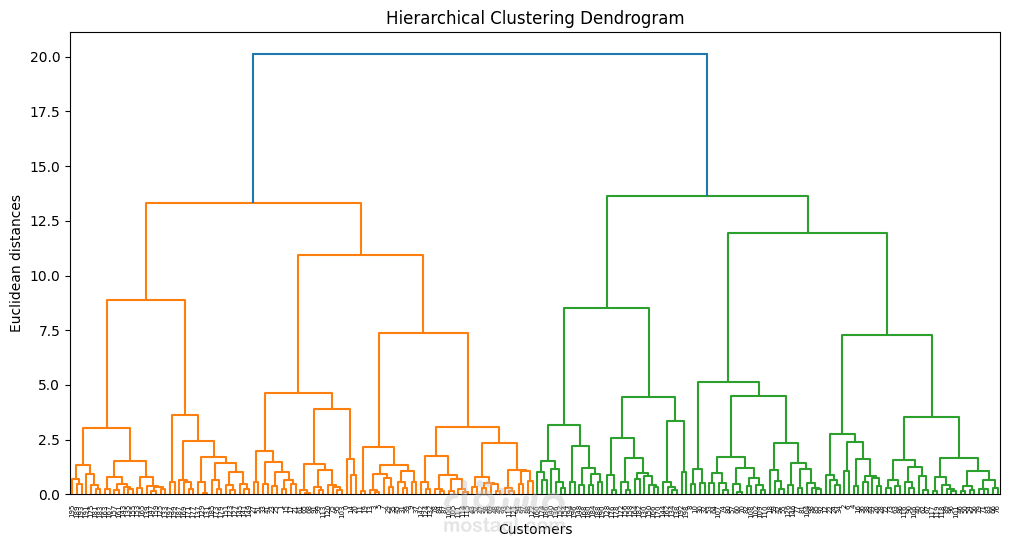 Customer Segmentation