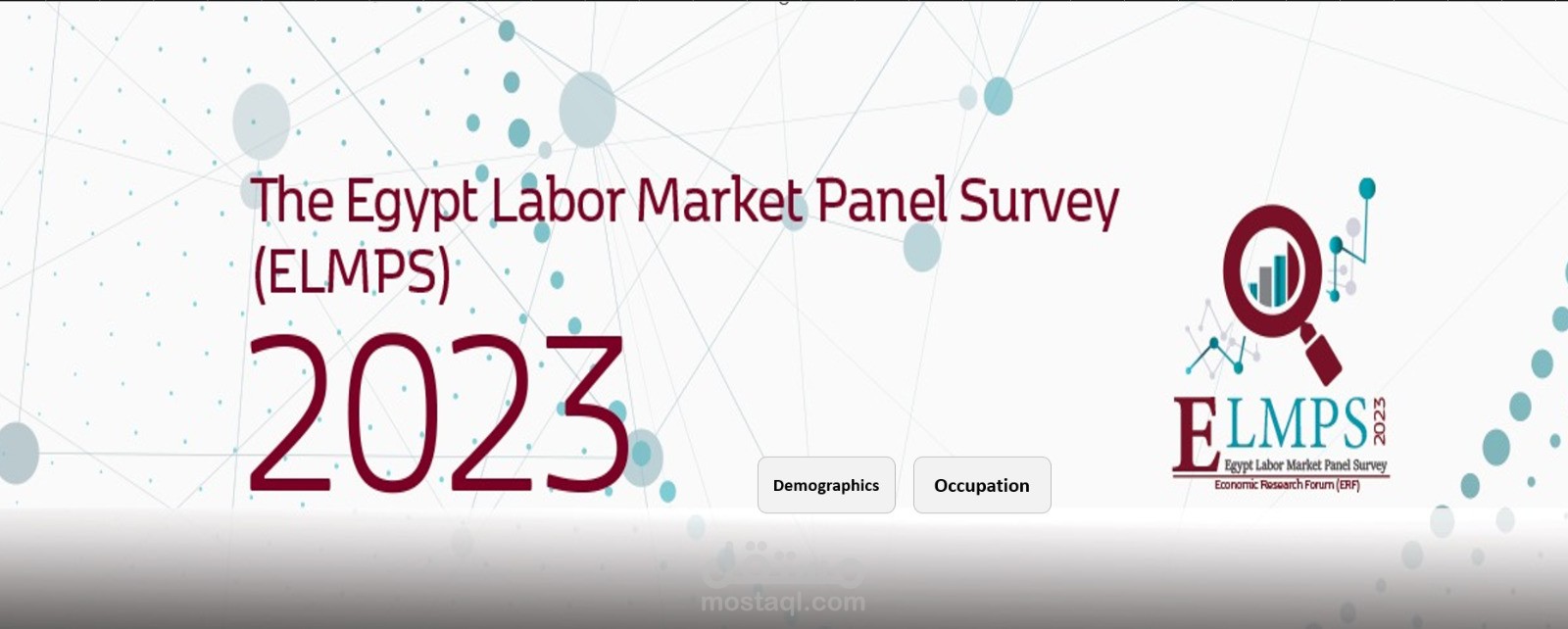 تصميم لوحات معلومات تفاعلية (Dashboards) لتحليل بيانات سوق العمل المصري (التعليم والوظائف)