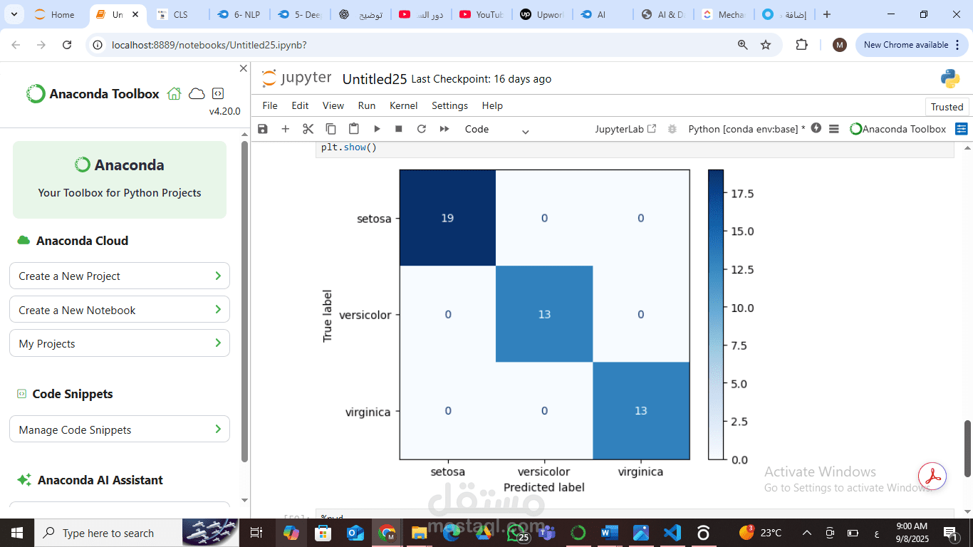 تنبؤ ب استخدام decision tree classifier