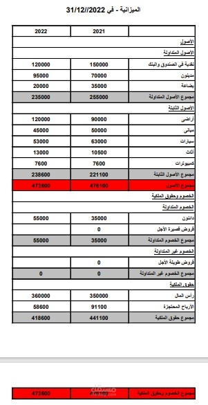 ميزانية عمومية لشركة معينة لسنة 2022