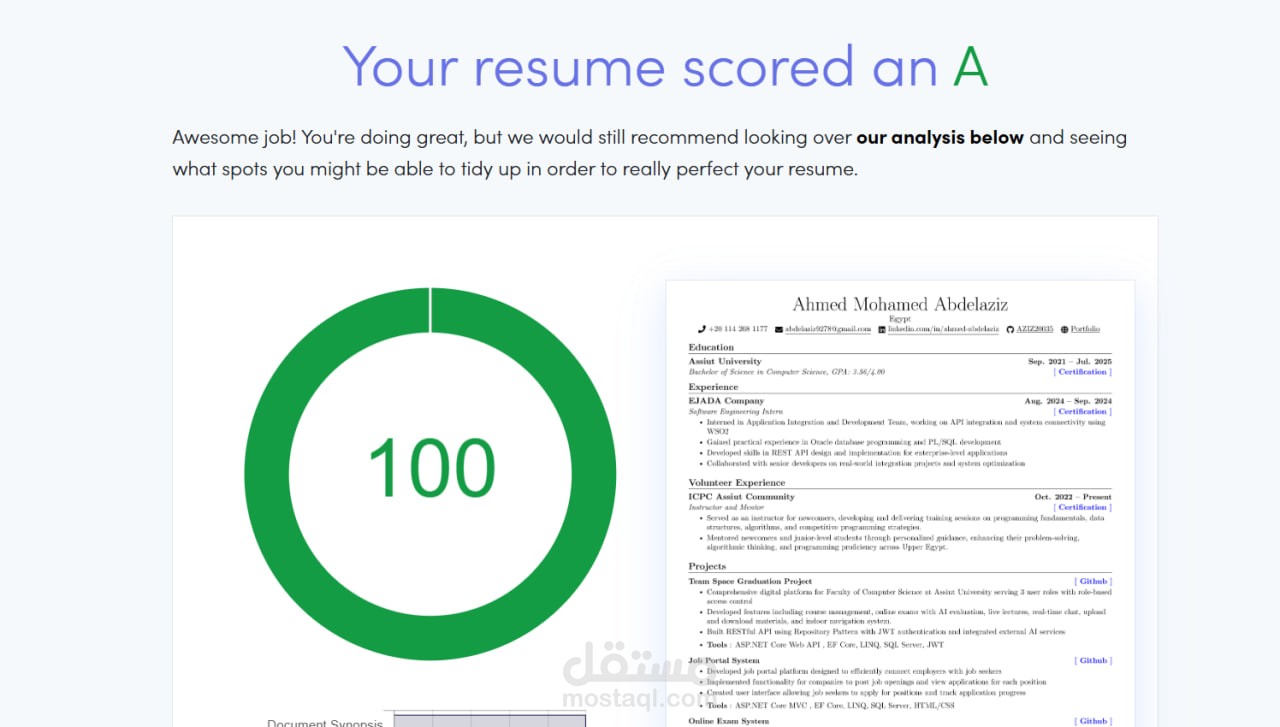 سيرة ذاتية احترافية