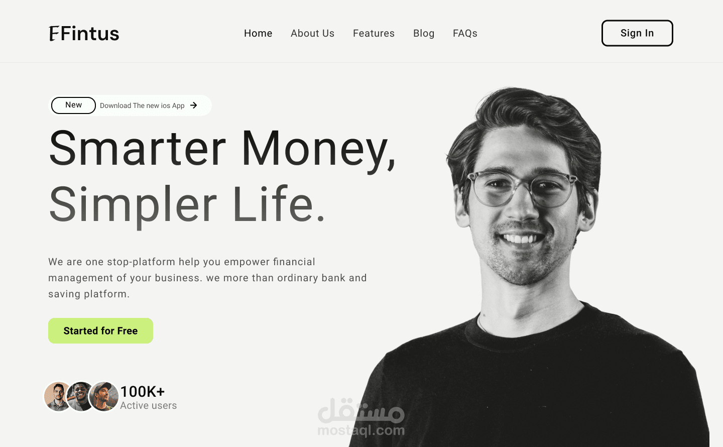 Financial Consulting Website