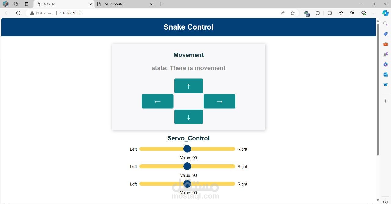 Snake Finder Robot front-end
