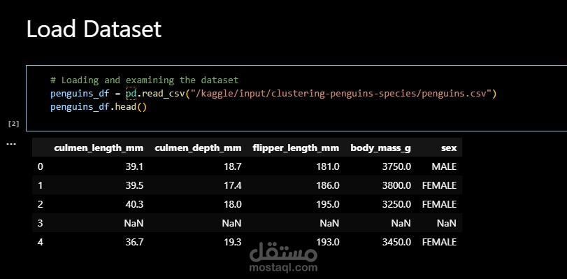 Penguins (Unsupervised)