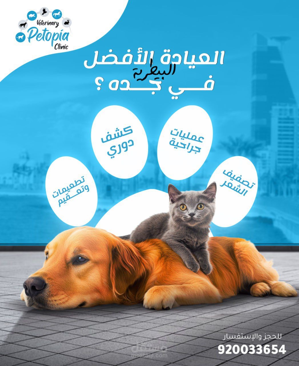 خطة تسويقيه ادارة حملات كتابه محتوي تصميم