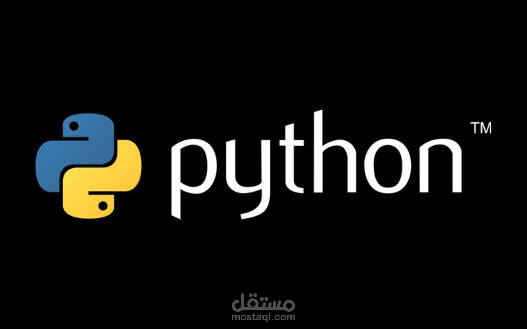 مطور بايثون محترف - بناء أنظمة وألعاب متكاملة